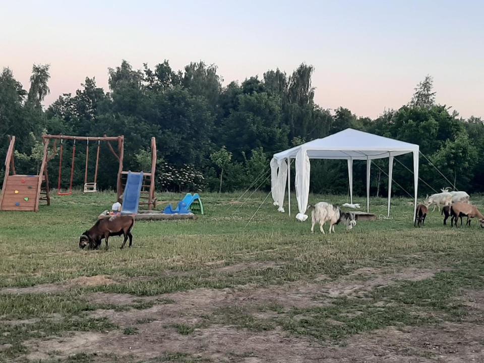 فيلا Gosp. Agroturystyczne Stary Gaj Zerkowice المظهر الخارجي الصورة